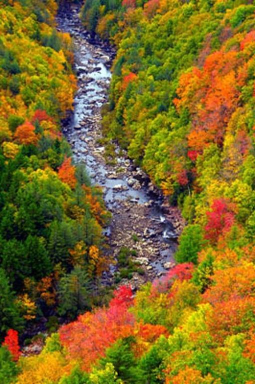 Blackwater Falls State Park Lodge Davis Buitenkant foto